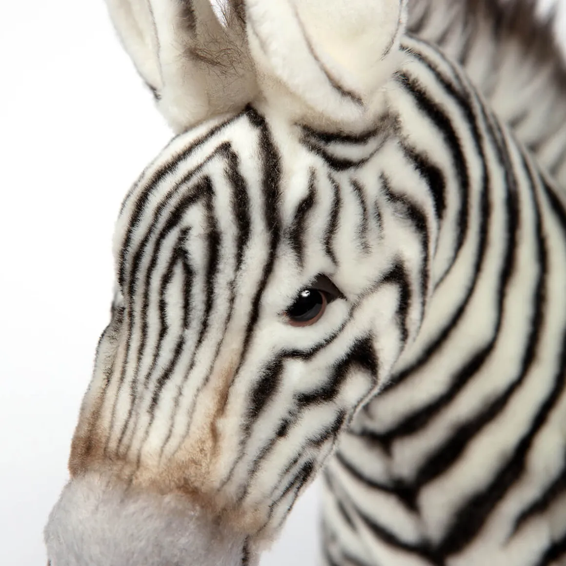 Grevy's Zebra (35cm) by Hansa