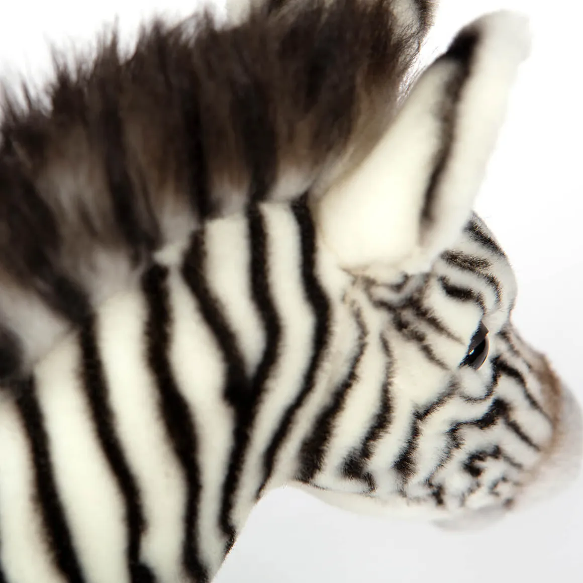 Grevy's Zebra (35cm) by Hansa