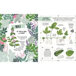 Grow: A Children's Guide to Plants and How to Grow Them by Riz Reyes & Sara Boccaccini Meadows