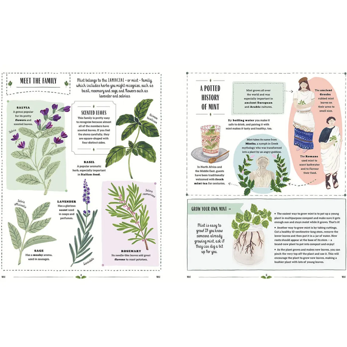 Grow: A Children's Guide to Plants and How to Grow Them by Riz Reyes & Sara Boccaccini Meadows