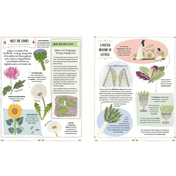 Grow: A Children's Guide to Plants and How to Grow Them by Riz Reyes & Sara Boccaccini Meadows