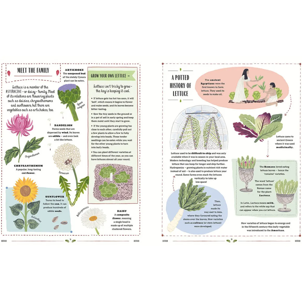 Grow: A Children's Guide to Plants and How to Grow Them by Riz Reyes & Sara Boccaccini Meadows