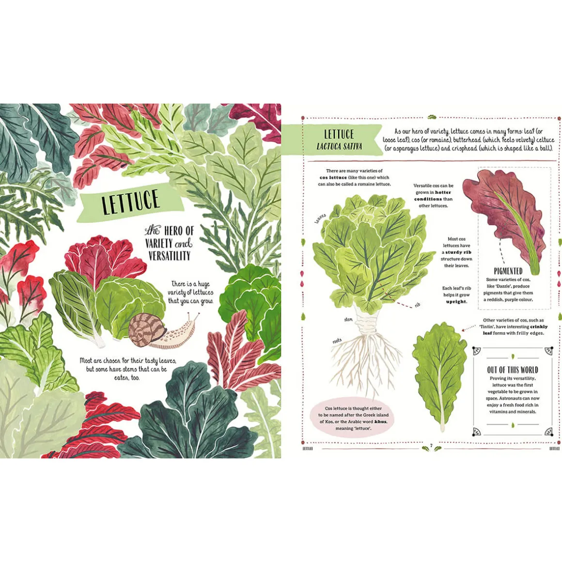 Grow: A Children's Guide to Plants and How to Grow Them by Riz Reyes & Sara Boccaccini Meadows
