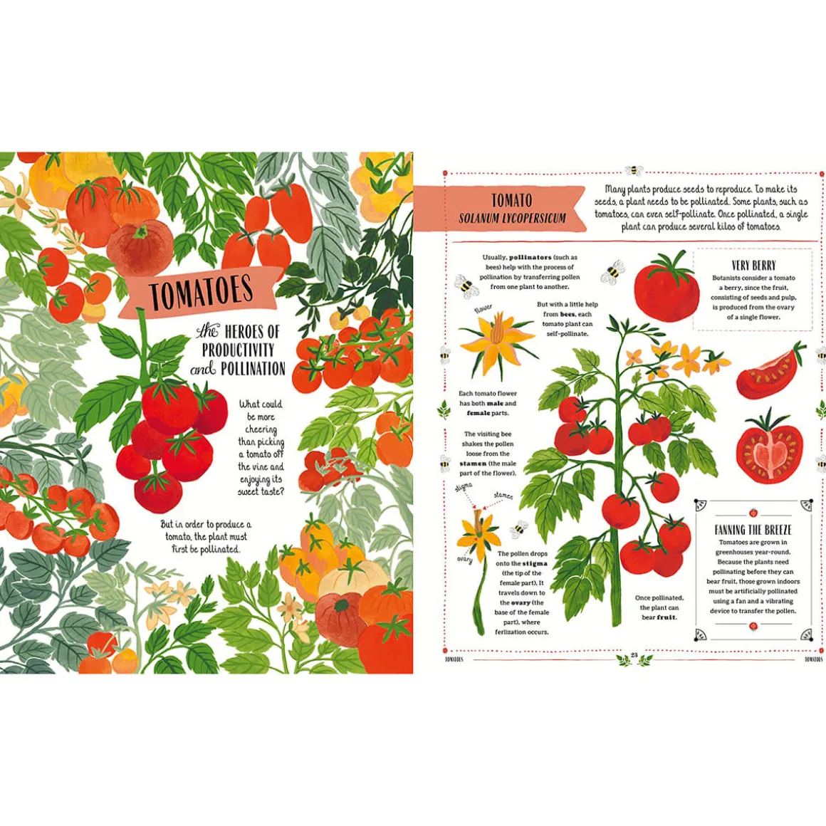 Grow: A Children's Guide to Plants and How to Grow Them by Riz Reyes & Sara Boccaccini Meadows