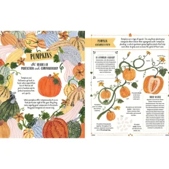 Grow: A Children's Guide to Plants and How to Grow Them by Riz Reyes & Sara Boccaccini Meadows