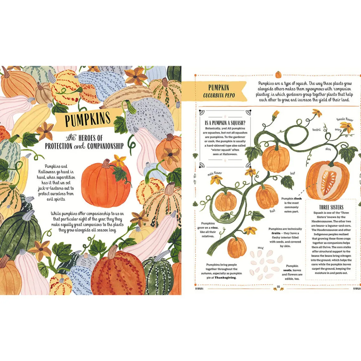Grow: A Children's Guide to Plants and How to Grow Them by Riz Reyes & Sara Boccaccini Meadows