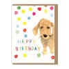 Happy Birthday Doggy Mini Greetings Card by Dominic Early for Earlybird Designs