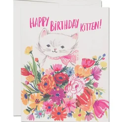 Happy Birthday Kitten Greetings Card by Red Cap Cards