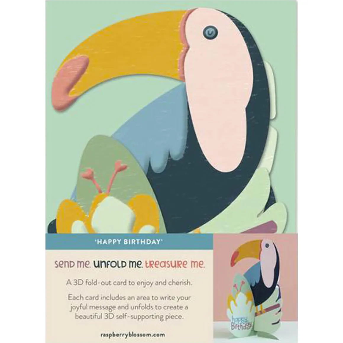 Happy Birthday Toucan Greetings Card by Raspberry Blossom
