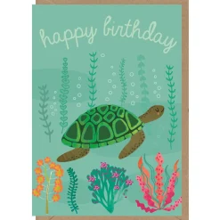 Happy Birthday Turtle Greetings Card by Elena Essex for Earlybird Designs