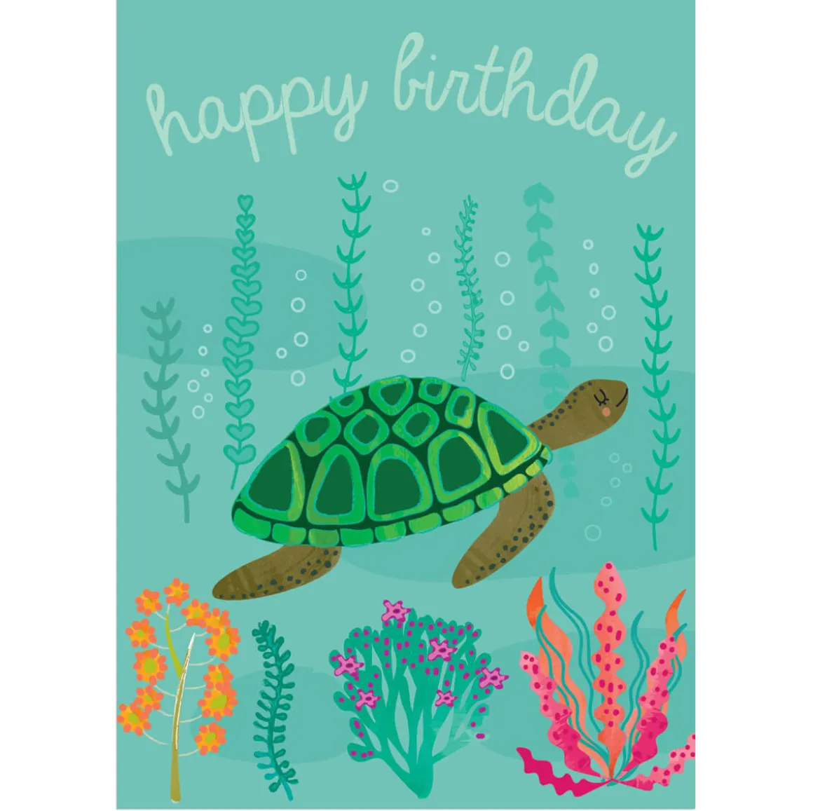Happy Birthday Turtle Greetings Card by Elena Essex for Earlybird Designs