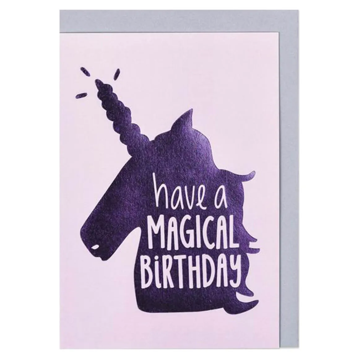 Have A Magical Birthday Greetings Card by Raspberry Blossom