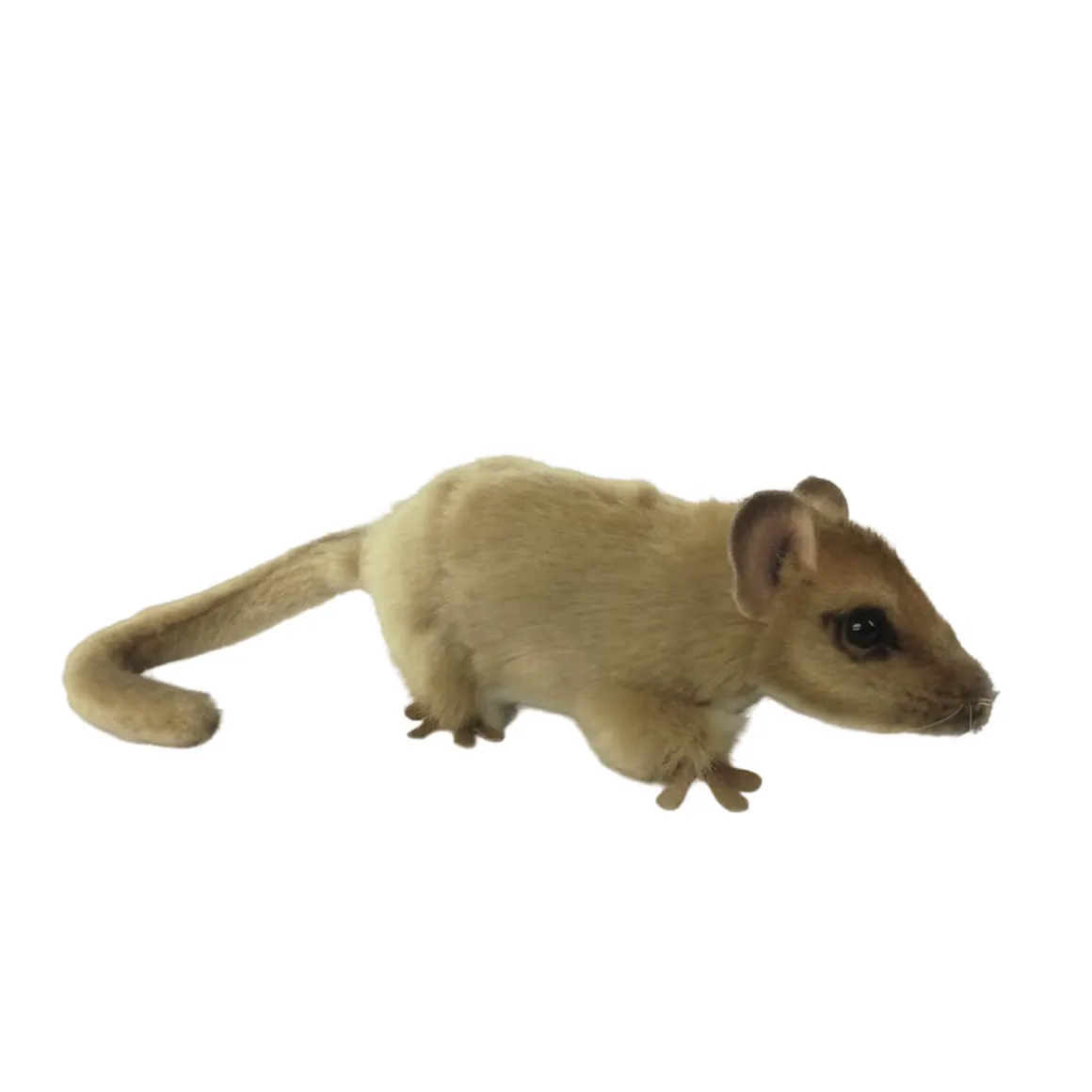 Hazel Dormouse (25cm) by Hansa