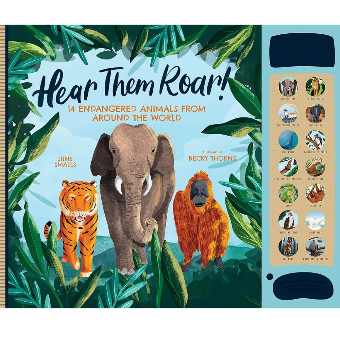 Hear Them Roar Sound Book by June Smalls & Becky Thorns