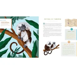 Hear Them Roar Sound Book by June Smalls & Becky Thorns