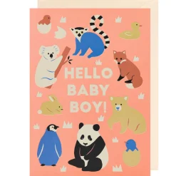 Hello Baby Boy Greetings Card by Naomi Wilkinson for Lagom Design