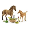 Horse Club Sarah’s Baby Animal Care Set by Schleich