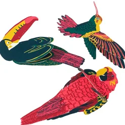 Hummingbird Shaped Greetings Card by East End Press