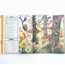 If You Go Down In The Woods Today by Rachel Piercey and Freya Hartas