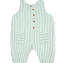 Inigo Overall in Subtle Green by 1+ in the Family