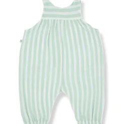 Inigo Overall in Subtle Green by 1+ in the Family