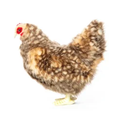 Islander Hen (28cm) by Hansa