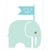 It's A Boy Elephant Baby Greetings Card by Dicky Bird