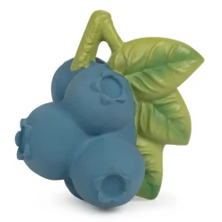 Jerry the Blueberry by Oli & Carol
