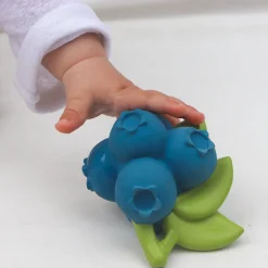 Jerry the Blueberry by Oli & Carol