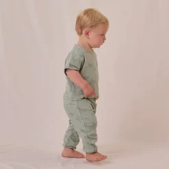 Jersey Tee + Pant Set in Dino by Quincy Mae