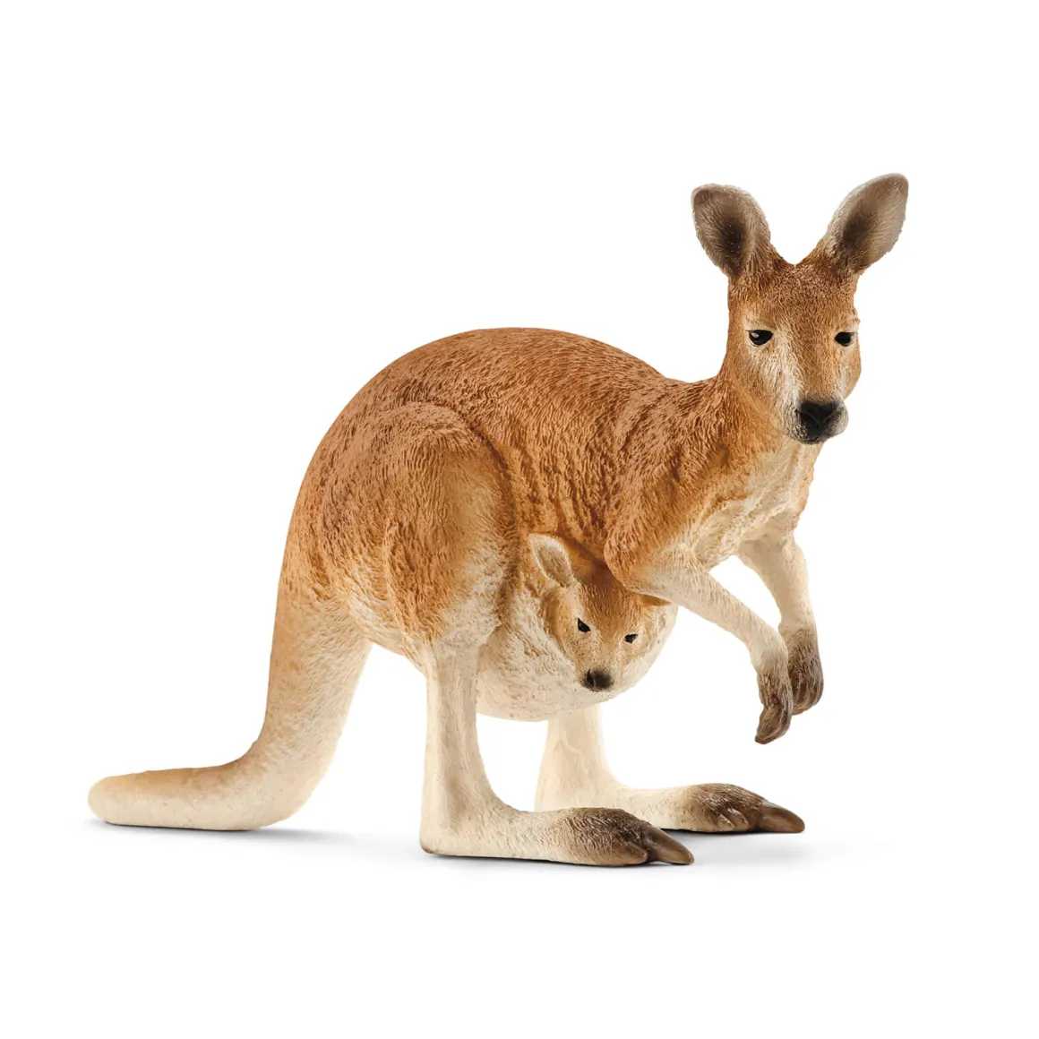 Kangaroo by Schleich