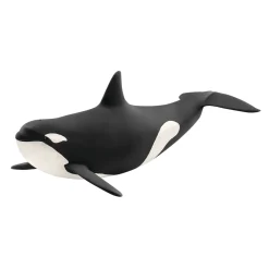 Killer Whale by Schleich