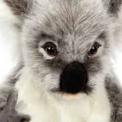 Koala (32cm) by Hansa