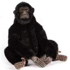 Large Bonobo Chimpanzee (55cm) by Hansa