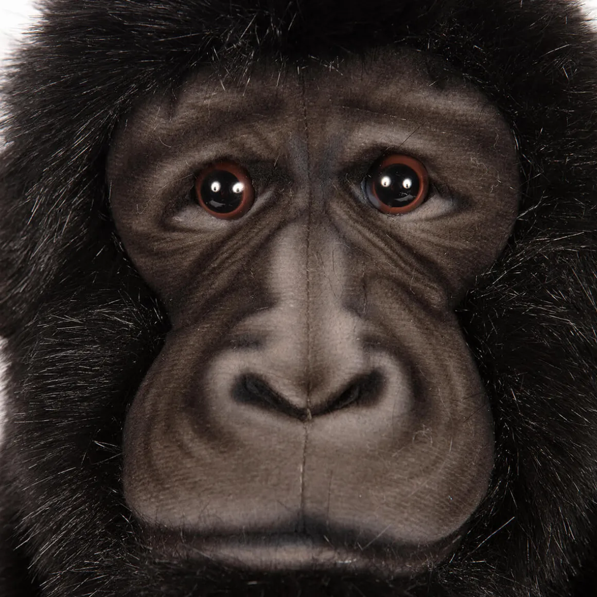 Large Bonobo Chimpanzee (55cm) by Hansa