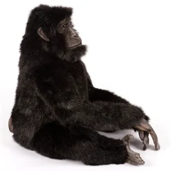 Large Bonobo Chimpanzee (55cm) by Hansa