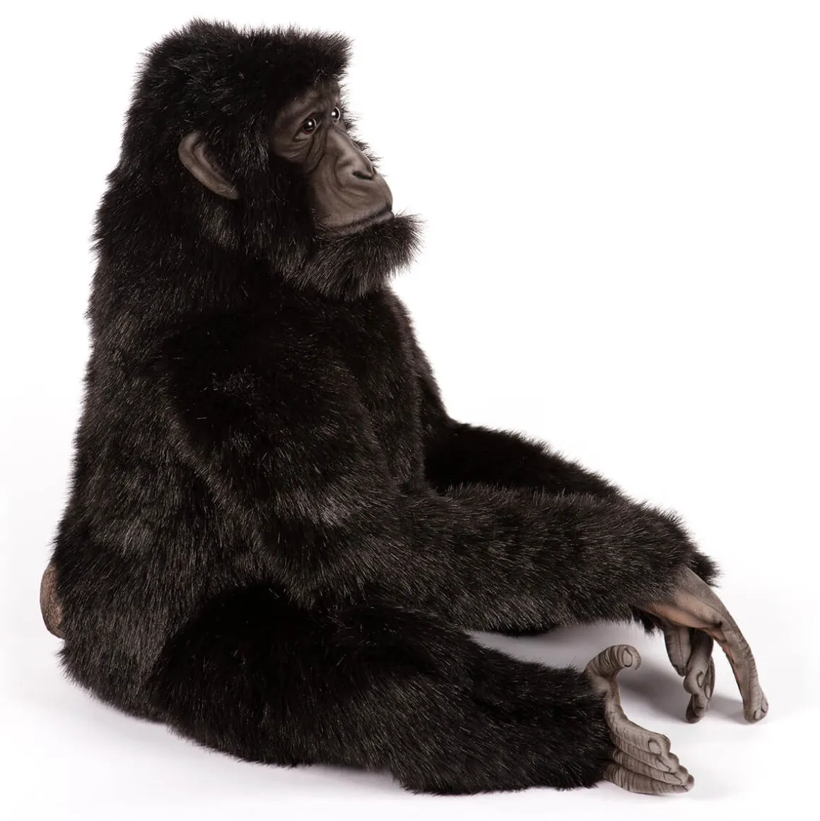 Large Bonobo Chimpanzee (55cm) by Hansa