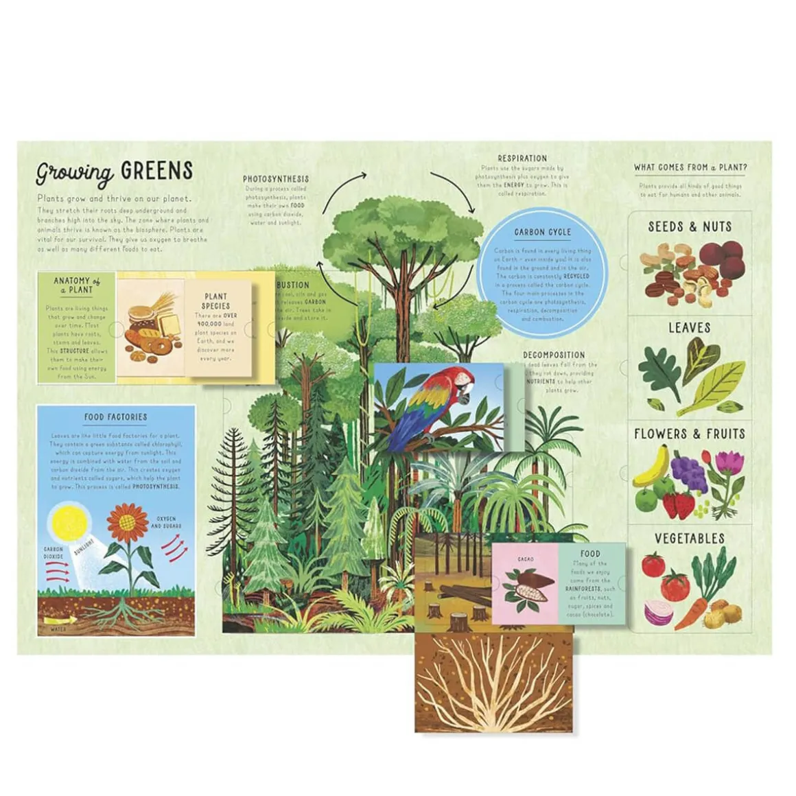 Lift-The-Flap Encylopedia of Earth by Ruth Martin and Xuan Lee
