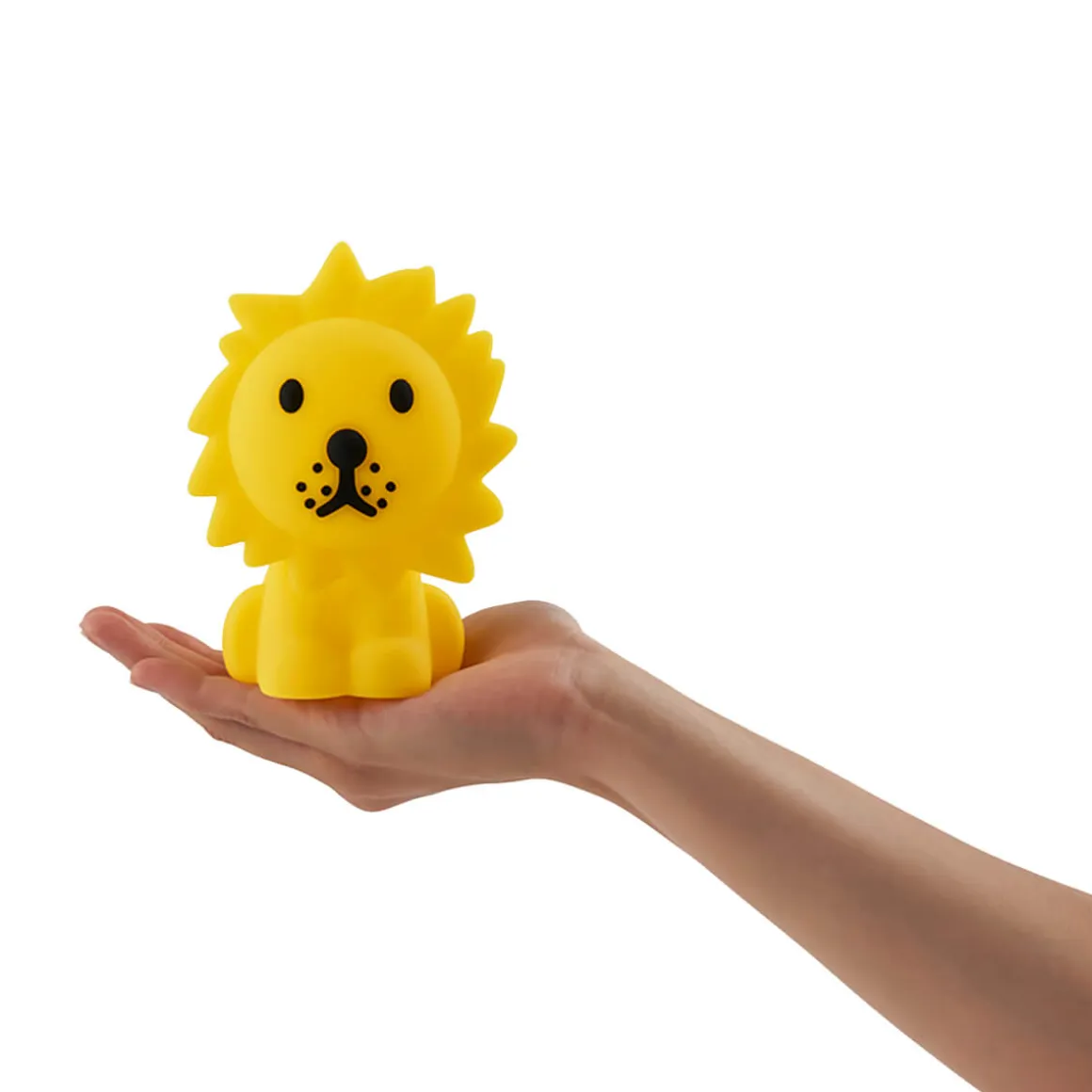 Lion Bundle Of Light by Mr Maria
