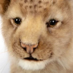 Lion Cub Standing (40cm) by Hansa