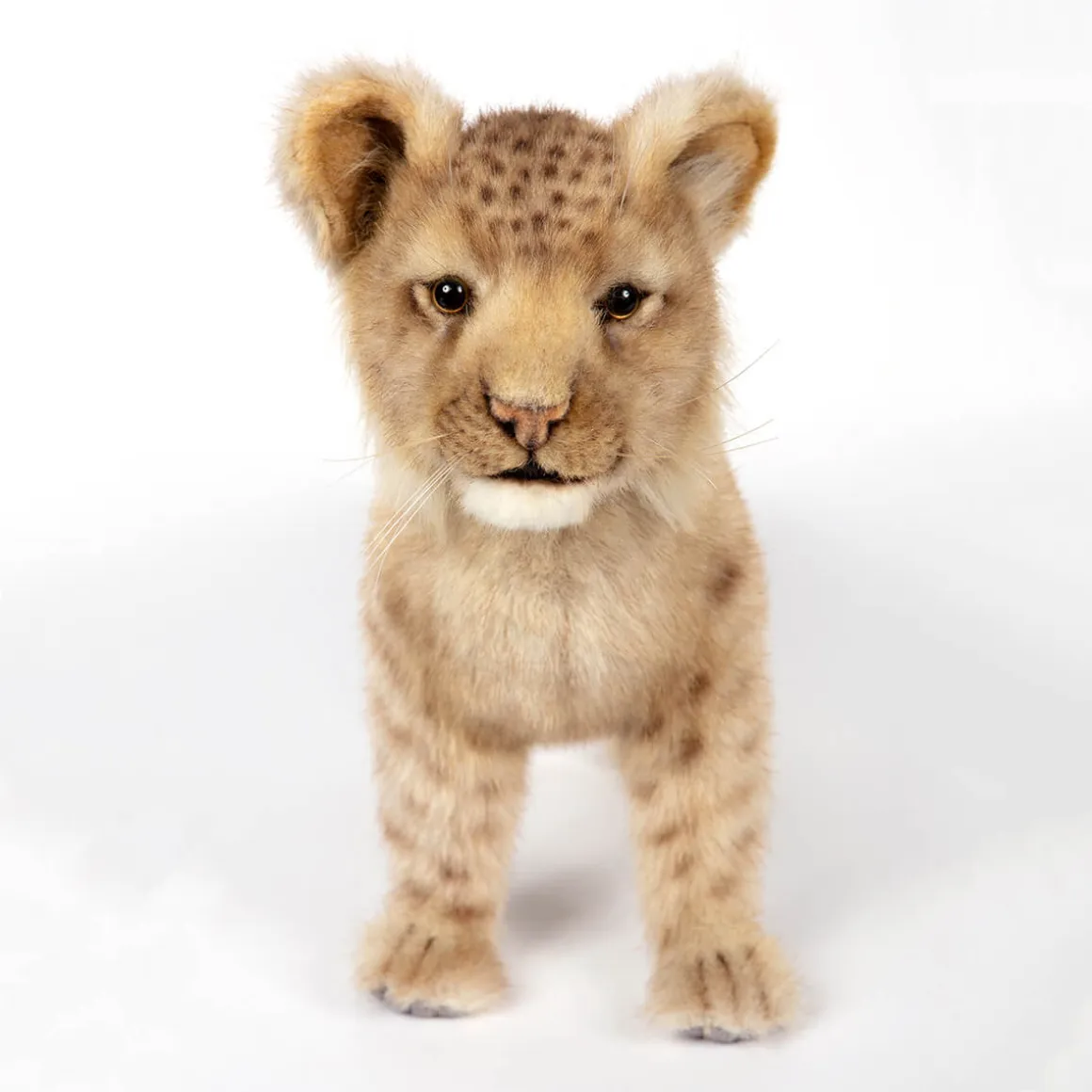Lion Cub Standing (40cm) by Hansa