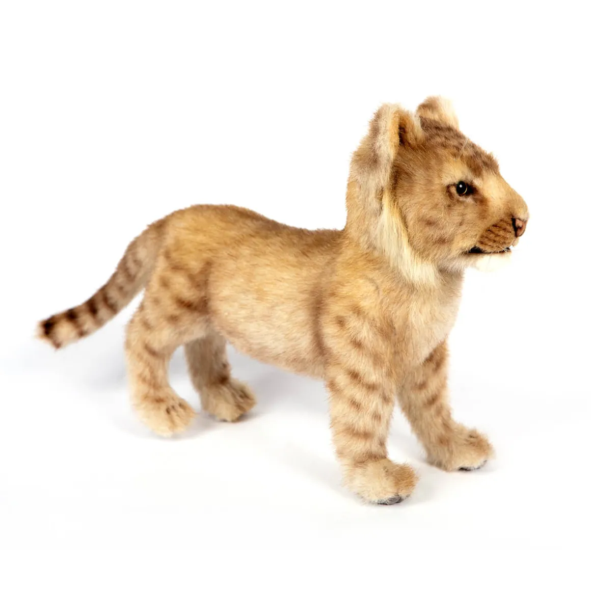 Lion Cub Standing (40cm) by Hansa