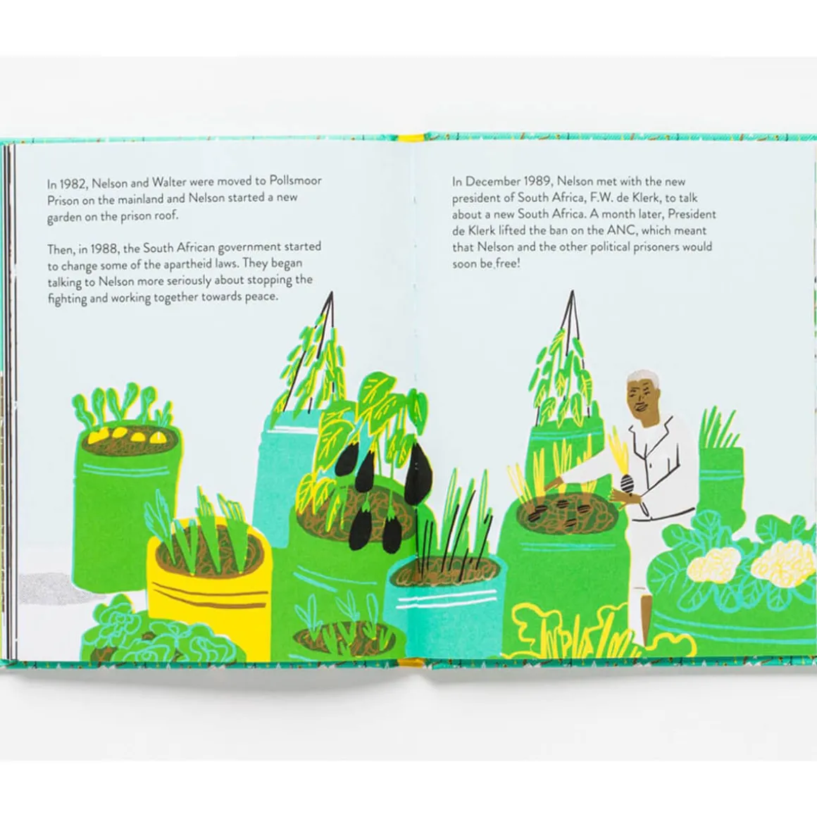 Little Guides To Great Lives: Nelson Mandela by Isabel Thomas & Hannah Warren