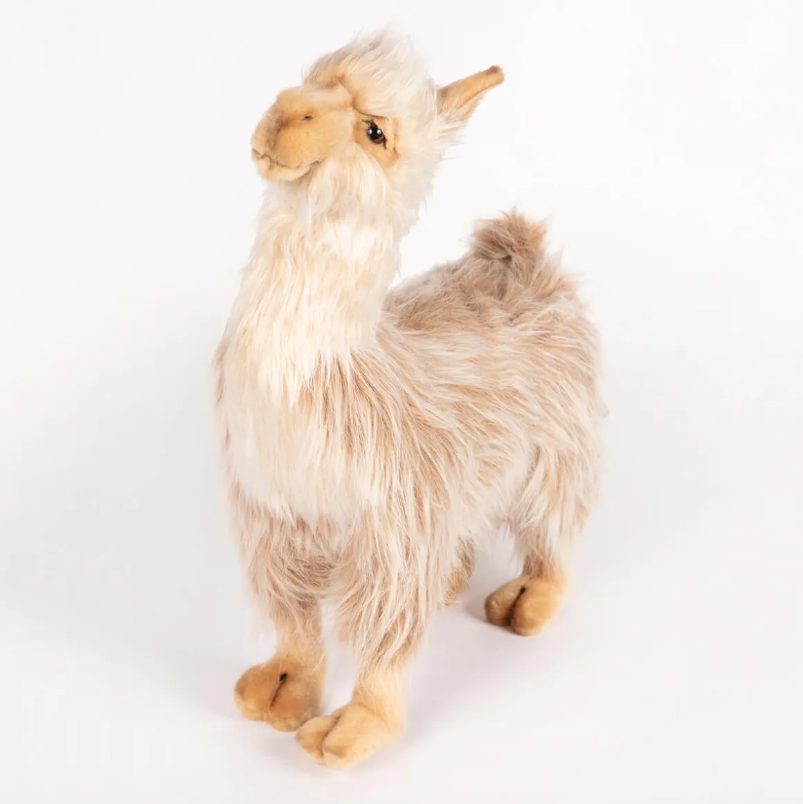 Llama Bull (43cm) by Hansa