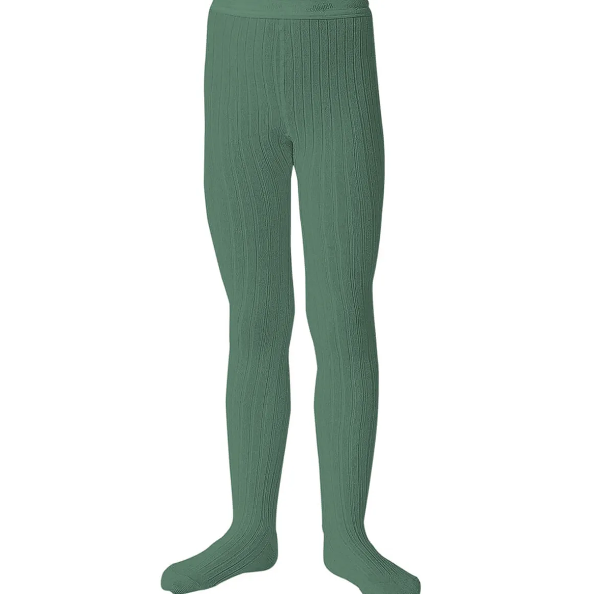 Louise Ribbed Tights in Celadon by Collegien