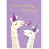Lovely Llamas Birthday Greetings Card by Stormy Knight