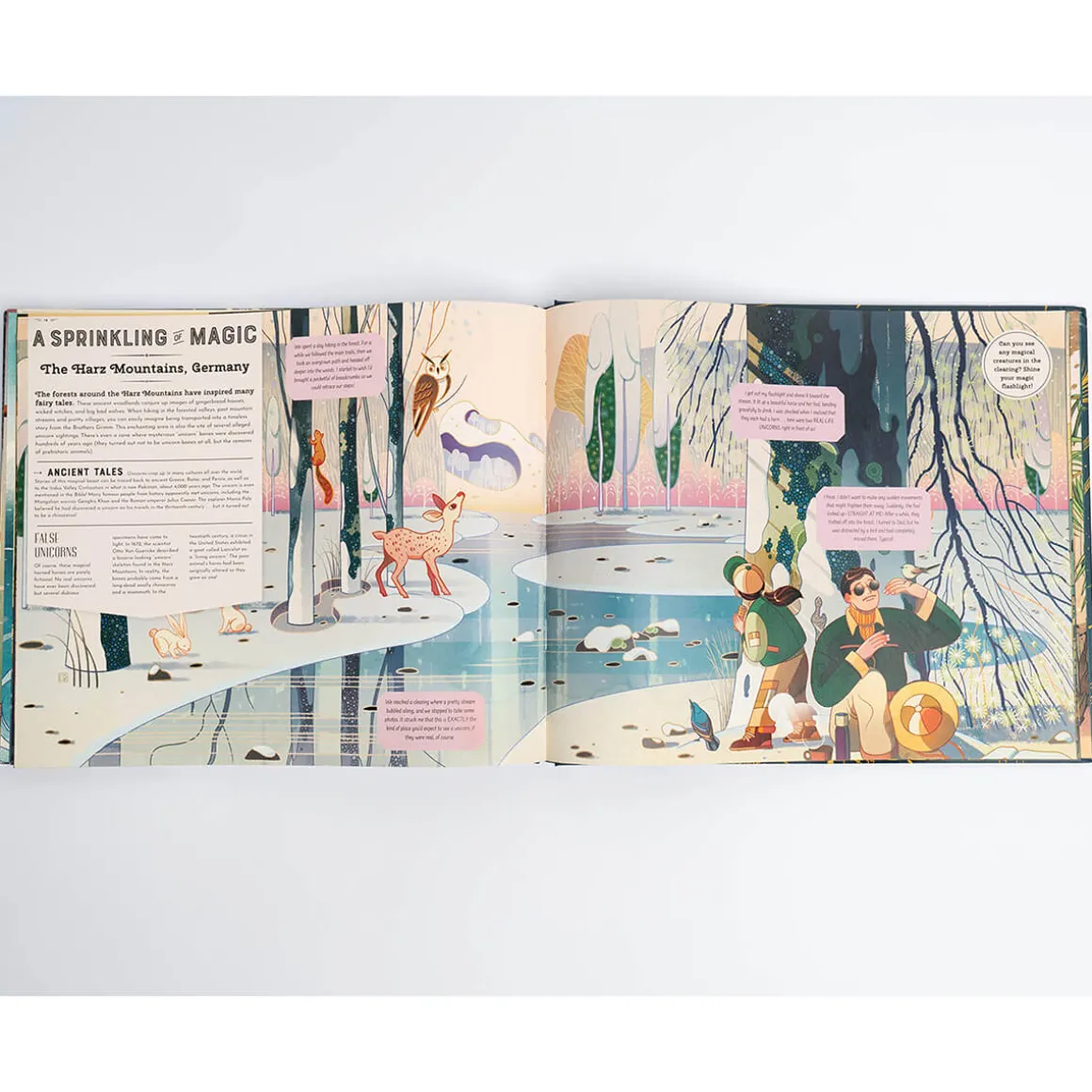 Magical Creatures and Mythical Beasts (With Magic Torch) by Professor and Millie Mortimer & Victo Ngai