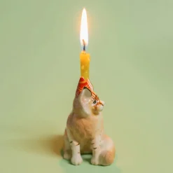 Maine Coon Cat Ceramic Cake Topper by Camp Hollow