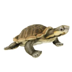 Manning River Turtle (28cm) by Hansa
