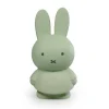 Medium Miffy Money Box in Eucalyptus (19cm) by Atelier Pierre